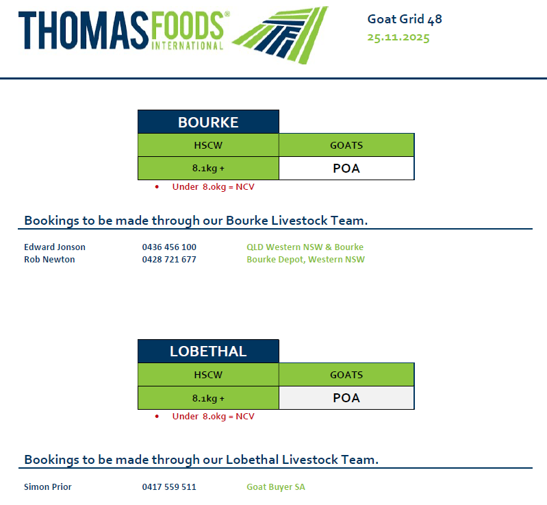 POA - Goats, Bourke NSW - Agora Livestock listing DVOIDZ3