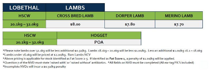 Lambs (grid 46B), Lobethal SA - Agora Livestock listing DVOI3W