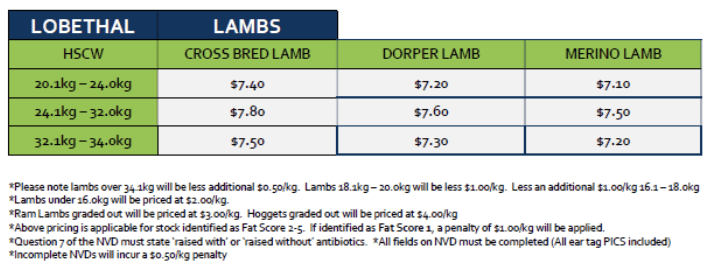 Lambs (grid 13B), Lobethal SA - Agora Livestock listing NDPIG62