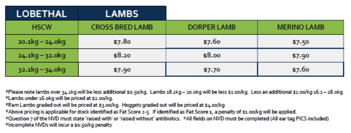 Lambs (grid 14), Lobethal SA - Agora Livestock listing DVOIMYQ