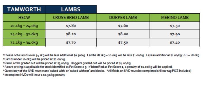 Lambs (grid 14B), Tamworth NSW - Agora Livestock listing 4Z6IVG3