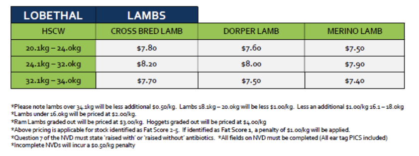 Lambs (grid 15), Lobethal SA - Agora Livestock listing ER6I4GL