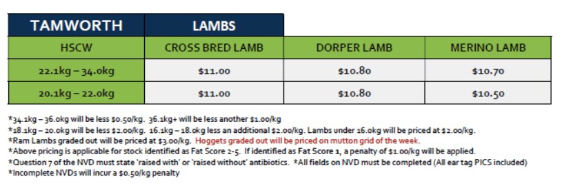 Lamb Grid 35 (25 Aug 26), Tamworth NSW - Agora Livestock listing R2PC75V