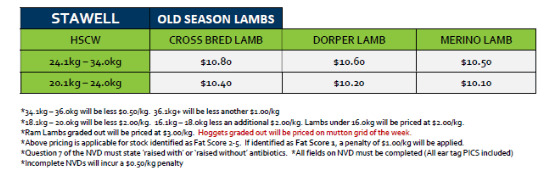 Stawell Old season Lamb Grid 38 ( 16 Sep 26 ) " OLD SEASON ", Stawell VIC - Agora Livestock listing 2YXIKLW
