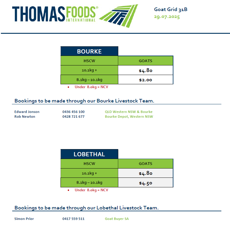 Goats, Lobethal SA - Agora Livestock listing Y4LUWOE
