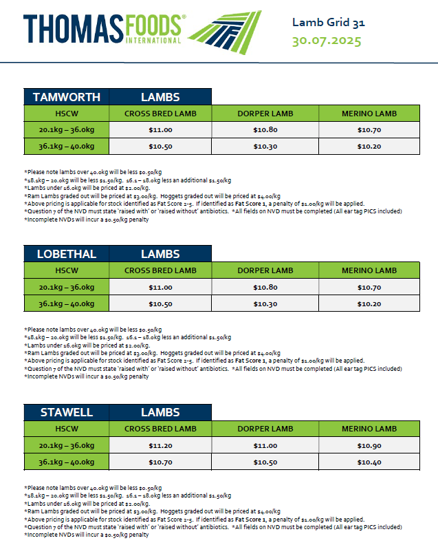 Lambs, Stawell VIC - Agora Livestock listing VDPI7Y3