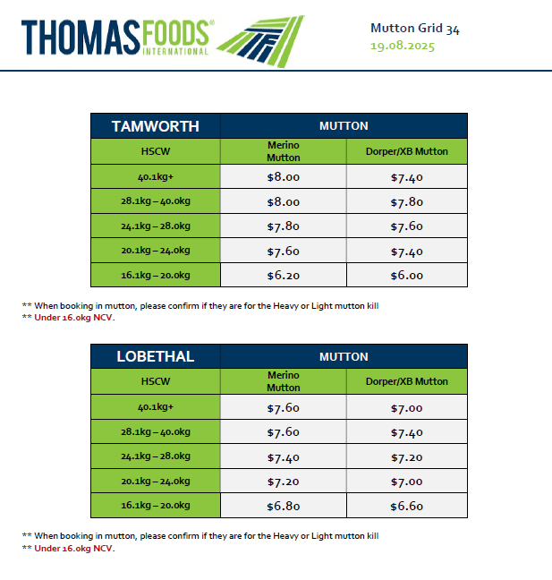 Mutton, Tamworth NSW - Agora Livestock listing 7NLIMO6