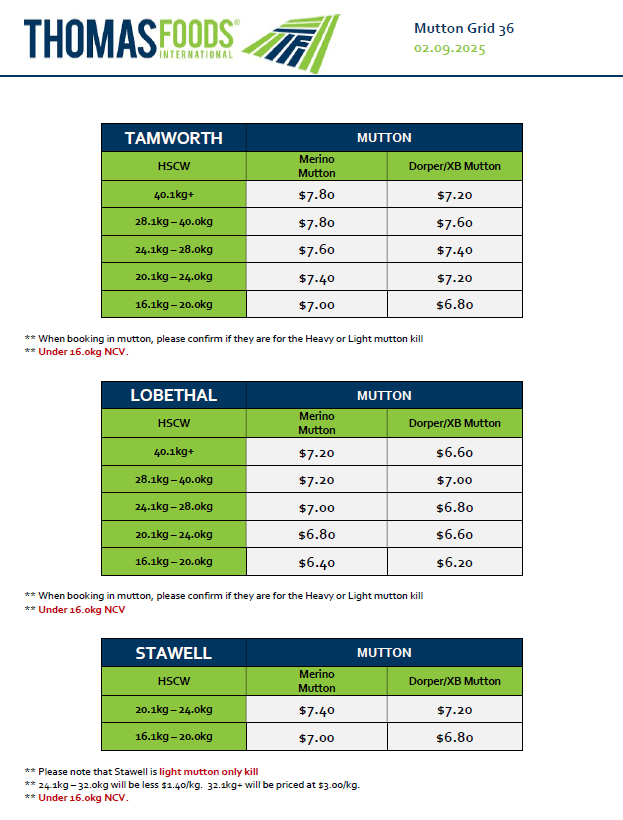 Mutton, Stawell VIC - Agora Livestock listing ER6I404