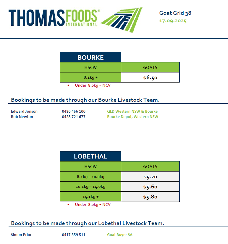 Goats, Lobethal SA - Agora Livestock listing 1N0IZLP