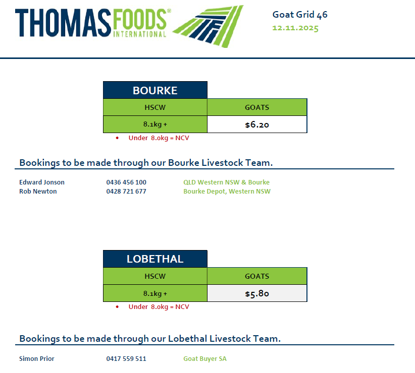 Goats, Lobethal SA - Agora Livestock listing 3QOIOMY