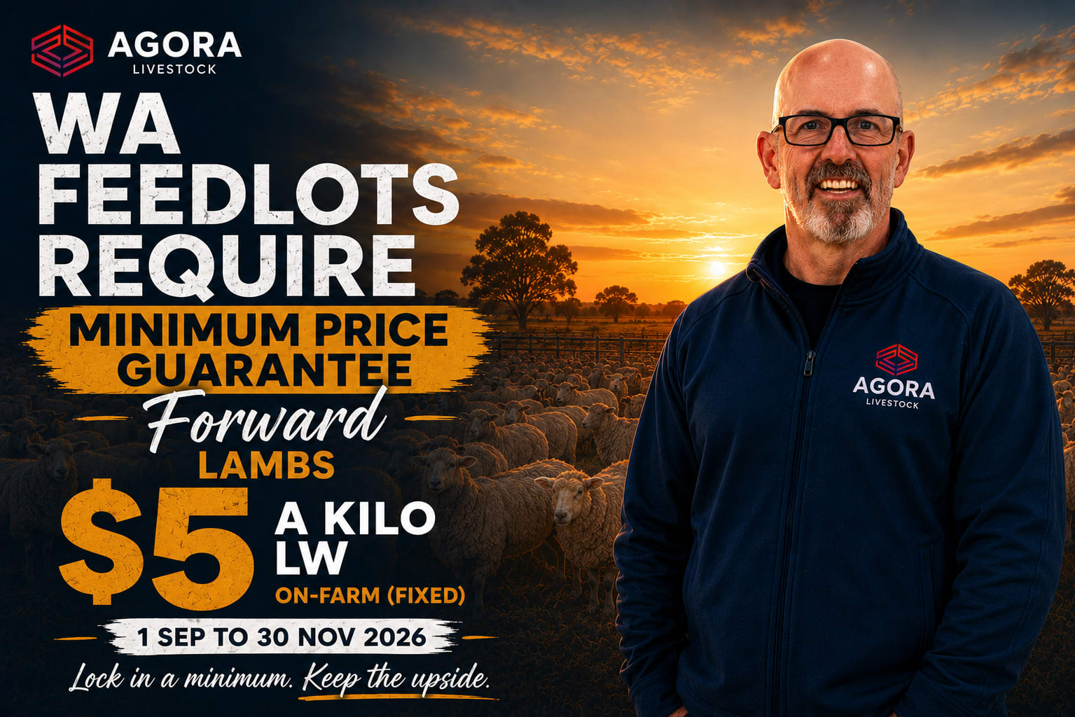 WA Feedlots Require New season XB lamb minimum price guarantee, Vendors Property WA - Agora Livestock listing LKPIZMY