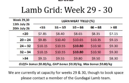 GUNDAGAI Lamb Grid week 29-30 ( WC 13 & 20th July ), Gundagai NSW - Agora Livestock listing QVPIL4Z