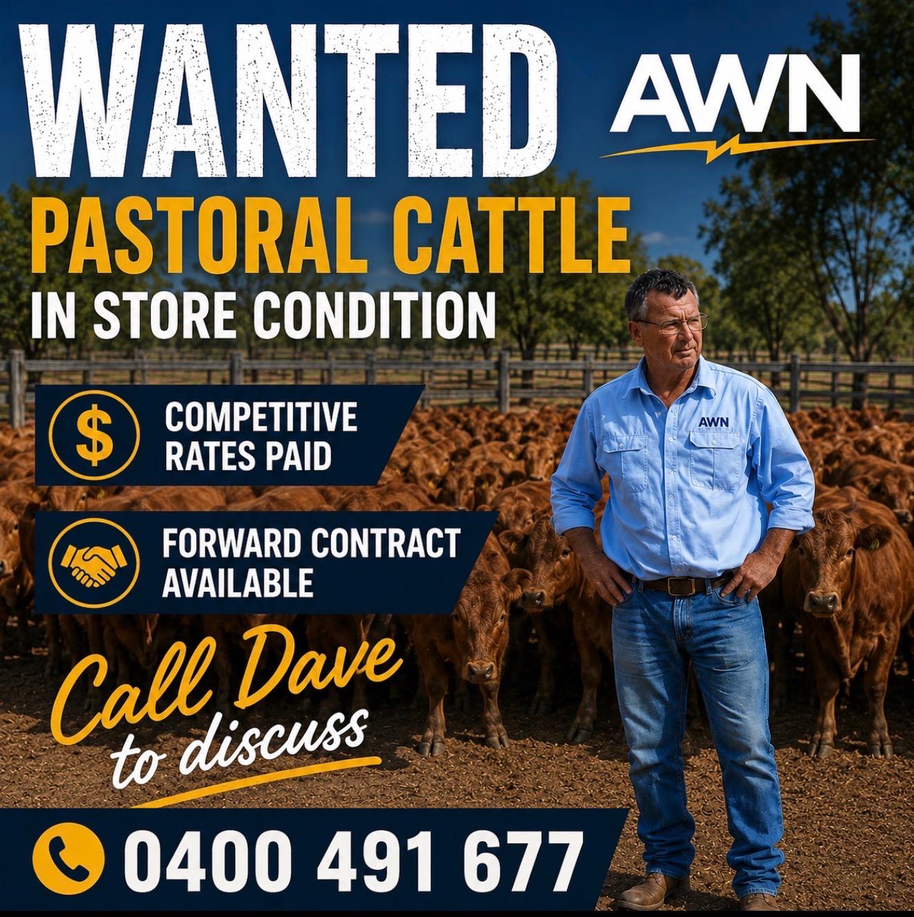 Wanted Large volumes of Quality pastoral cattle, Bibra Lake WA - Agora Livestock listing X5ZSP5O