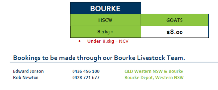 Bourke Goat Grid 26  (22 Jun 26), Bourke NSW - Agora Livestock listing ER6I5KN