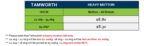 Tamworth Mutton Grid 26 (22 Jun 26), Tamworth NSW - Agora Livestock listing ER6I57N