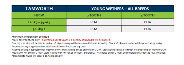 Tamworth 2-4 Tooth Wethers Grid 26 ( 22 Jun 26), Tamworth NSW - Agora Livestock listing PZPI0WV