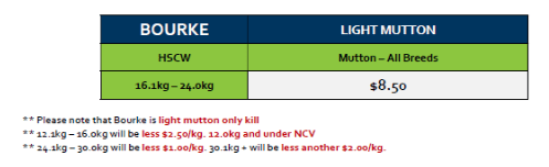 Bourke Mutton Light Mutton Grid 28 ( 06 July ), Bourke NSW - Agora Livestock listing MKPIL4D