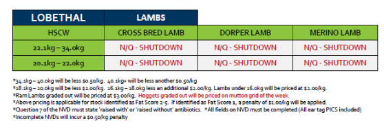 Lobethal Lamb Grid 28 ( 06 July 26) - N/Q SHUTDOWN, Lobethal SA - Agora Livestock listing 2YXIKMZ