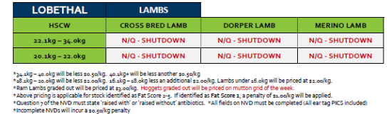 Lobethal Lamb Grid 28A ( 10 July 26) - N/Q SHUTDOWN, Lobethal SA - Agora Livestock listing 2YXIKMZ