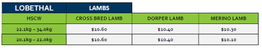 Lobethal Lamb Grid 34 (17 August 26), Lobethal SA - Agora Livestock listing 2YXIKMZ