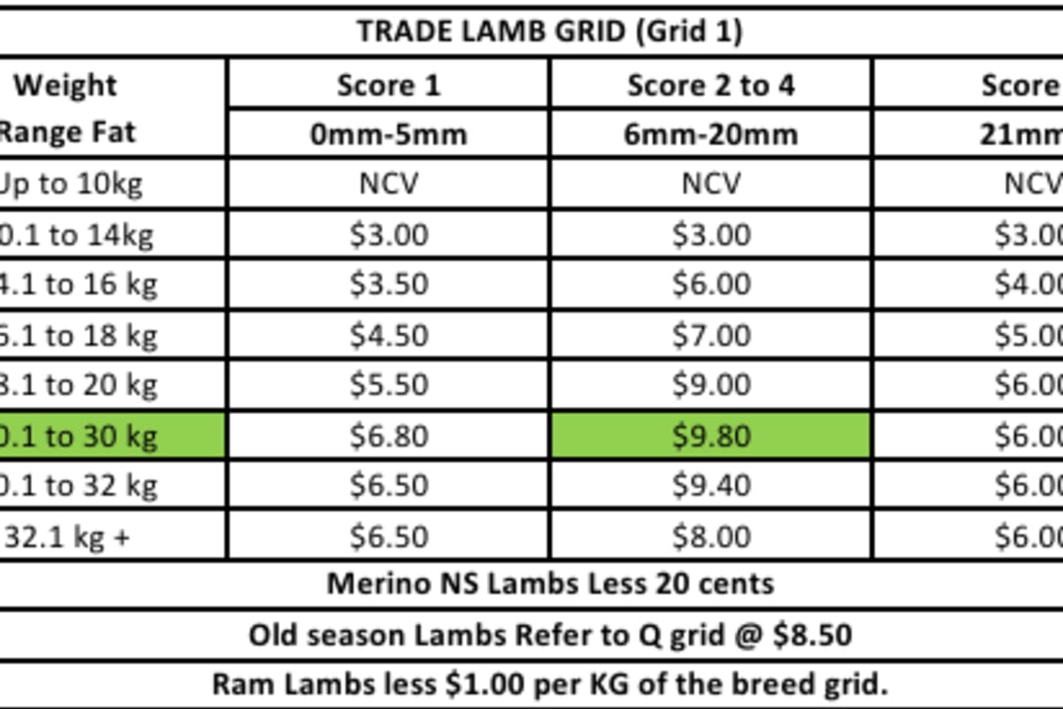 Hillside Meat Processors New season Trade lamb Grid, Narrogin WA - Agora Livestock listing GDMILZP
