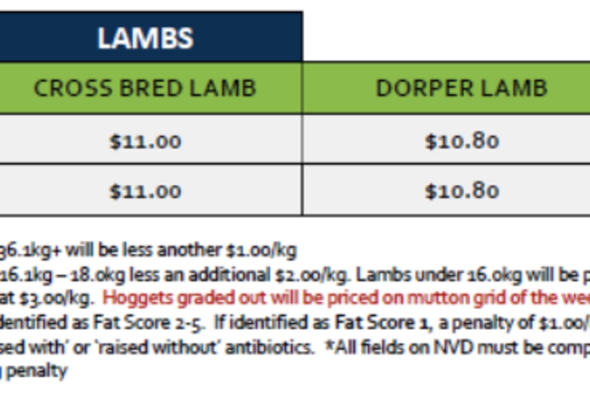 Lamb Grid 36 (1 Sep 26), Lobethal SA - Agora Livestock listing ER6I50X