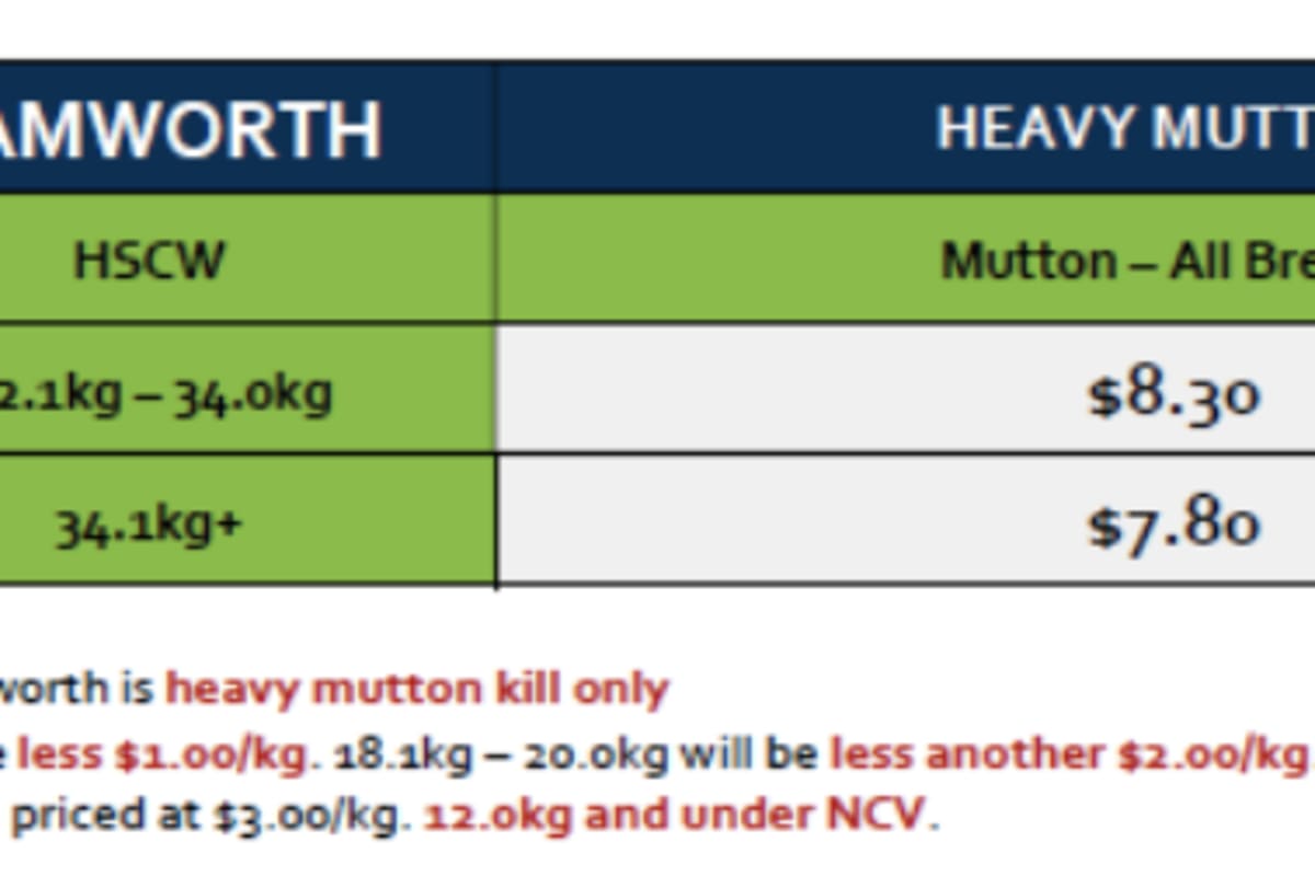 Mutton Grid 36 (1 Sep 26), Tamworth NSW - Agora Livestock listing Y4LU506