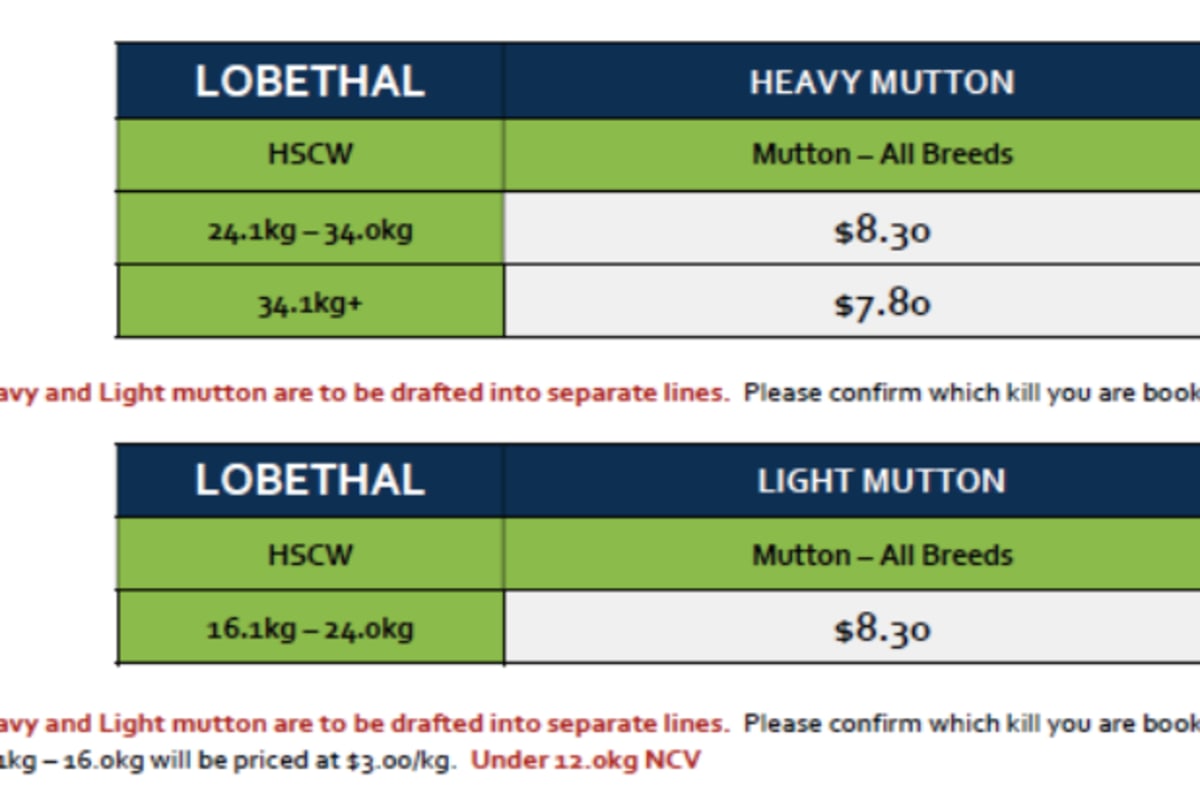 Mutton Grid 36 (1 Sep 26), Lobethal SA - Agora Livestock listing 7NLID0R