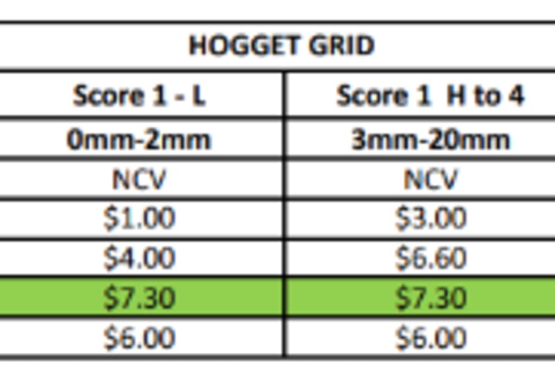 Hillside Hogget grid (5/10/26), Narrogin WA - Agora Livestock listing Y4LU5NG