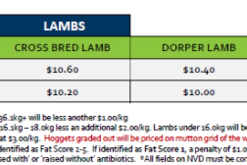 Tamworth  Lamb Grid 42 ( 13 Oct 26 ), Tamworth NSW - Agora Livestock listing WWPIVMD