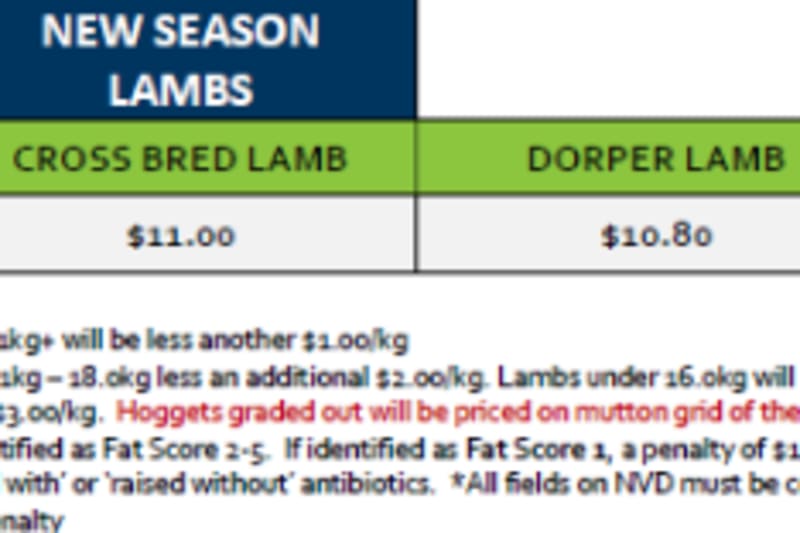 Stawell New Season Lamb Grid 42 ( 13 Oct 26 ), Stawell VIC - Agora Livestock listing QVPILRN