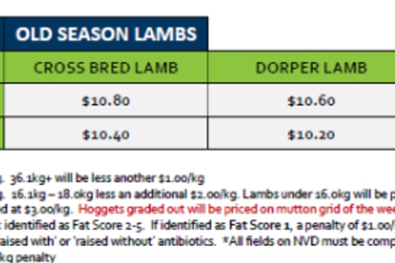 Stawell Old season Lamb Grid 42 (  13 Oct 26 ), Stawell VIC - Agora Livestock listing 2YXIKLW