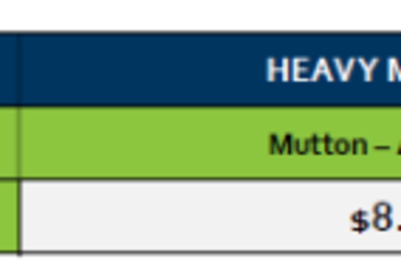 Tamworth Mutton Grid 42 ( 13 Oct 26), Tamworth NSW - Agora Livestock listing Y4LU506