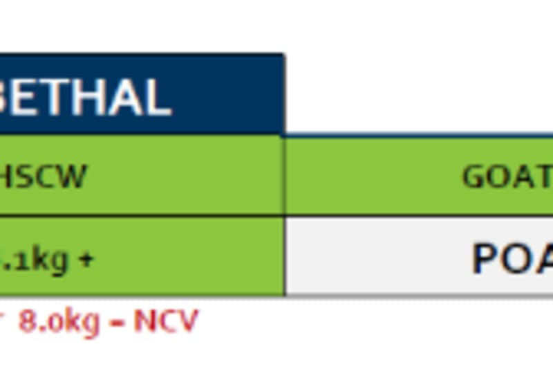 Lobethal Goat Grid 42 ( 13 Oct 26) "POA", Lobethal SA - Agora Livestock listing QVPIL71