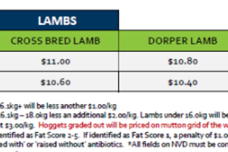 Tamworth  Lamb Grid 43 (21 Oct 26 ), Tamworth NSW - Agora Livestock listing WWPIVMD