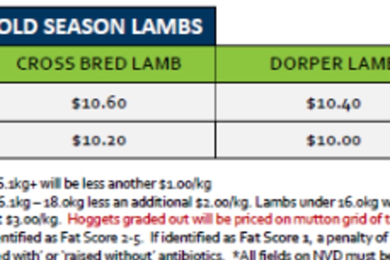 Lobethal Old Season Lamb Grid 43 ( 21 Oct 26), Lobethal SA - Agora Livestock listing R2PC7EE