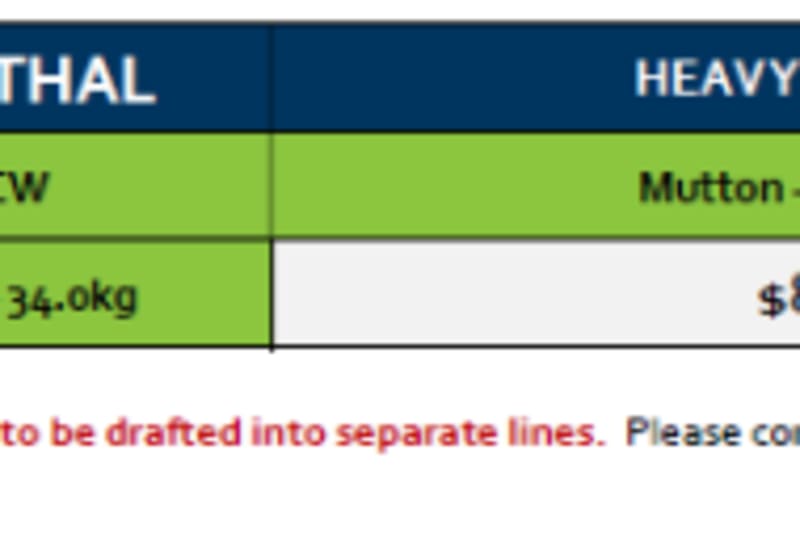 Lobethal Heavy Mutton Grid 43A ( 22 Oct 26), Lobethal SA - Agora Livestock listing 7NLID0R