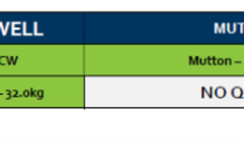 Stawell Mutton Grid 43A ( 22 Oct 26) "NO QOUTE ", Stawell VIC - Agora Livestock listing PZPI0GL