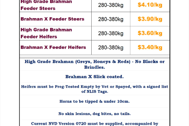 Queensland Rural Live export Cattle order August 10th Delivery Charters Towers, Charters Towers QLD - Agora Livestock listing 5LEIXEE
