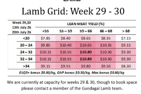 GUNDAGAI Lamb Grid week 29-30 ( WC 13 & 20th July ), Gundagai NSW - Agora Livestock listing QVPIL4Z
