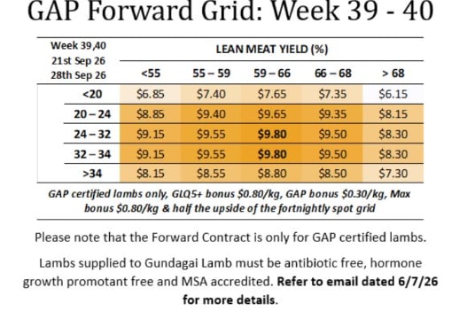 GUNDAGAI Lamb Forward Grid week 39 & 40 ( WC 21 & 28th Sept ), Gundagai NSW - Agora Livestock listing Y4LU51G