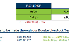 Bourke Goat Grid 28A  (09 July 26), Bourke NSW - Agora Livestock listing ER6I5KN