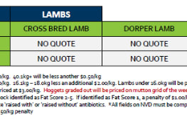 Lobethal Lamb Grid 30 (20July 26) - NO QOUTE, Lobethal SA - Agora Livestock listing 2YXIKMZ