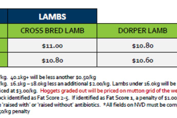 Lobethal Lamb Grid 31 (28 July 26), Lobethal SA - Agora Livestock listing 2YXIKMZ