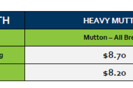 Tamworth Mutton Grid 31 ( 28 July 26), Tamworth NSW - Agora Livestock listing ER6I57N