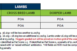 Tamworth Lamb Grid 32 (4  Aug 26) POA, Tamworth NSW - Agora Livestock listing R2PC75V