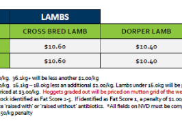 Lobethal Lamb Grid 32 (4 August 26), Lobethal SA - Agora Livestock listing 2YXIKMZ