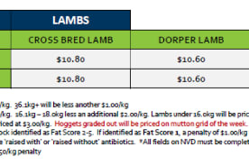 Stawell Lamb Grid 32 ( 4 August 26), Stawell VIC - Agora Livestock listing 01KA0DE