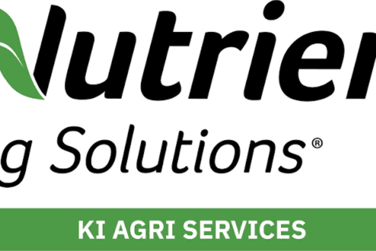 3000 Prime NS Lambs Wanted ex WA for SA Producer, Kingscote SA - Agora Livestock listing 3QOIODK
