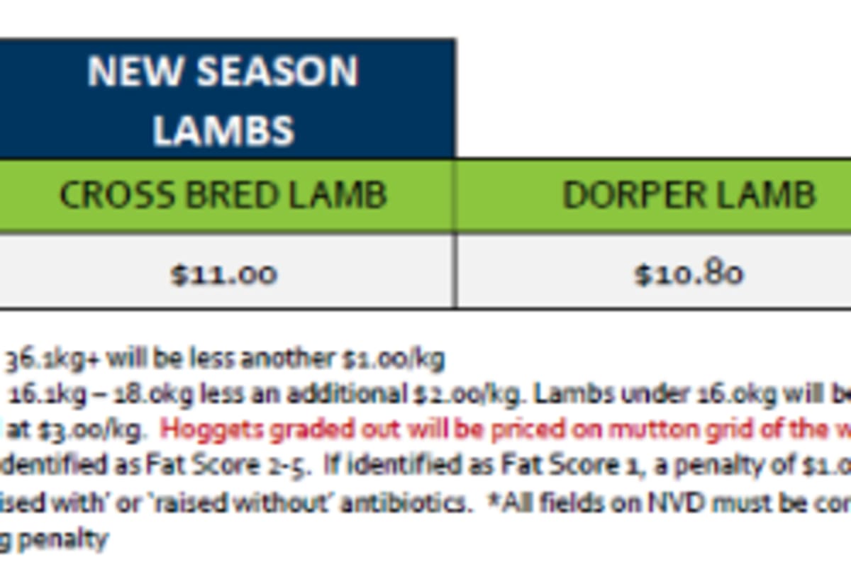 Lobethal New season Lamb Grid 38 (16 Sep 26) " NEW SEASON LAMBS ", Lobethal SA - Agora Livestock listing ER6I50X